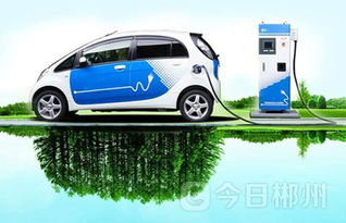 郴州正式啟用新能源汽車專用號牌，助推綠色出行新風尚